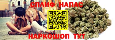 спайс Будённовск