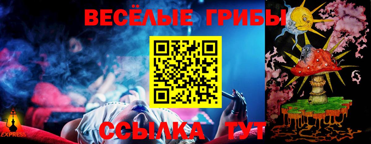 Галлюциногенные грибы Psilocybe Родники